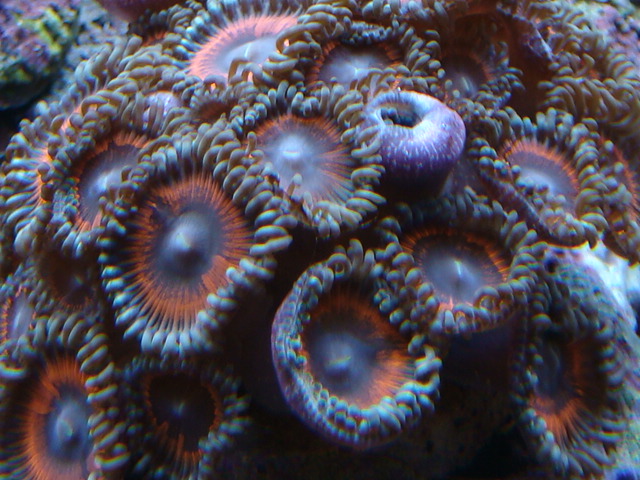 3595961311_c26c3cf177_o.jpg