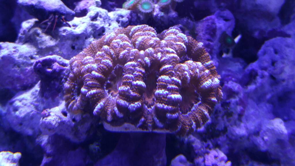 08fbc41866b30495c08fdf691f4ce480.jpg