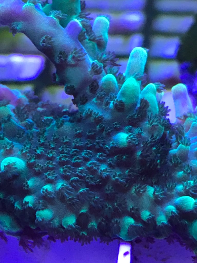 049e05635e354ba368df4b935f8a8d1e.jpg