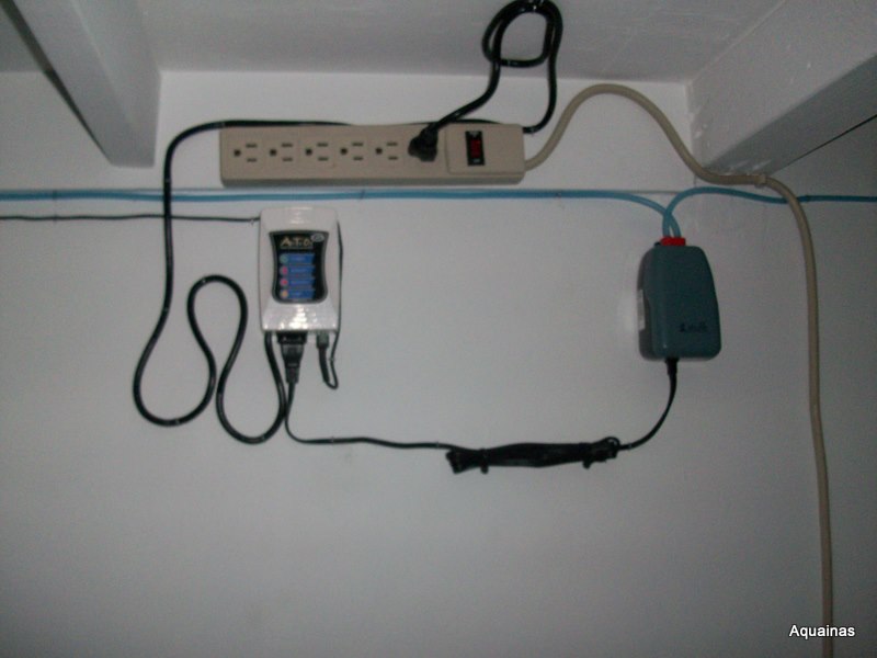 100_6544.jpg