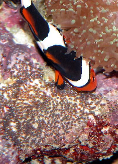 DSCN7781.jpg
