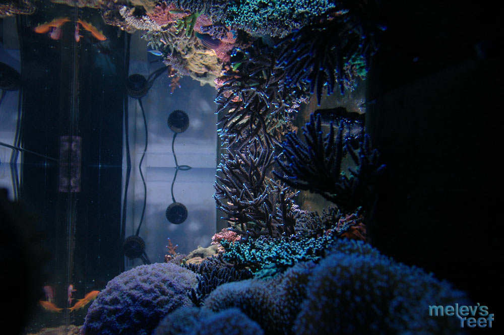 reflection_eot_d70.jpg