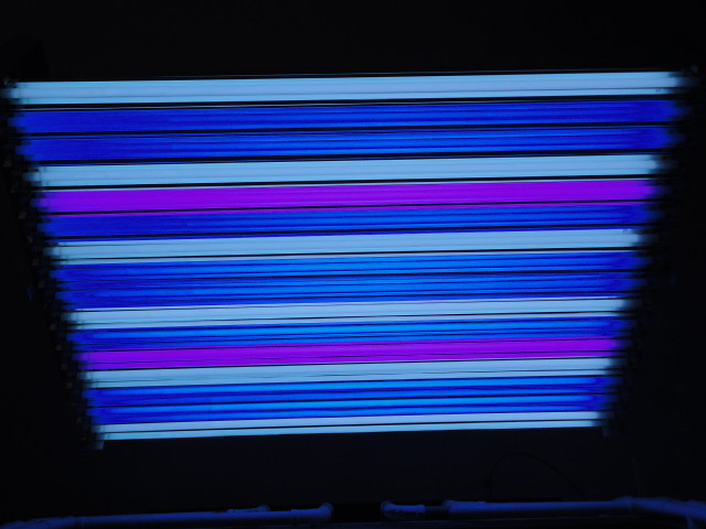 5857970741_98f3b2edc0_z.jpg