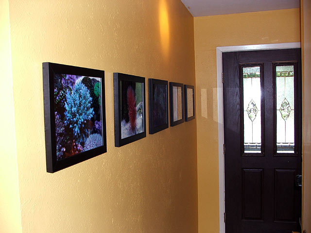5pictures_1.jpg
