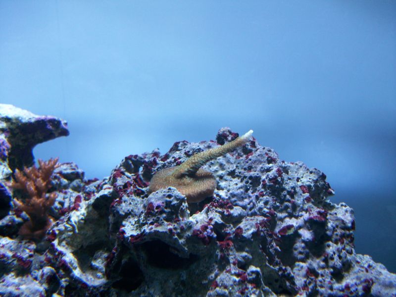 100_8522.jpg