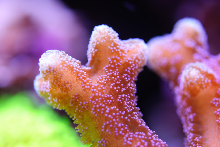 DSC_3119.JPG