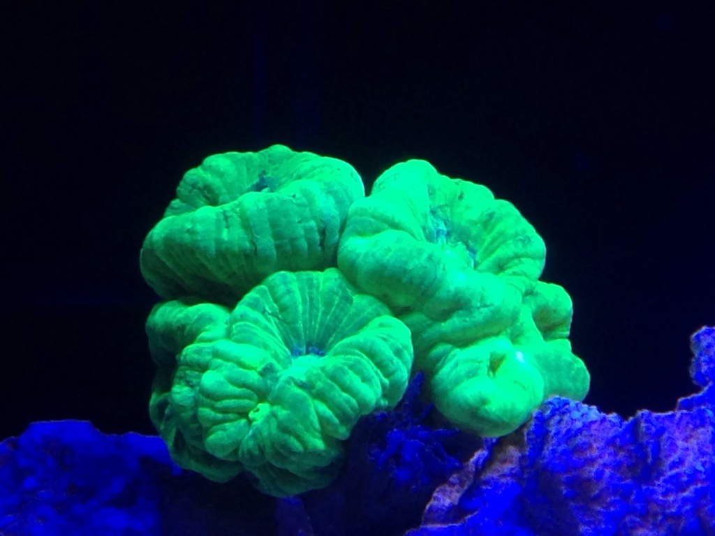 51f4a33dac86755d33938b44fcecf148.jpg