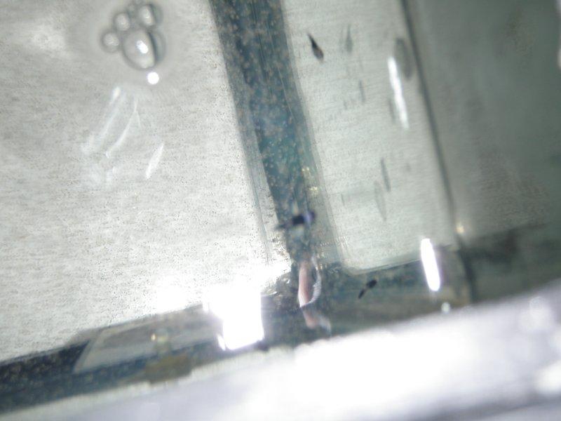 P8010148.jpg