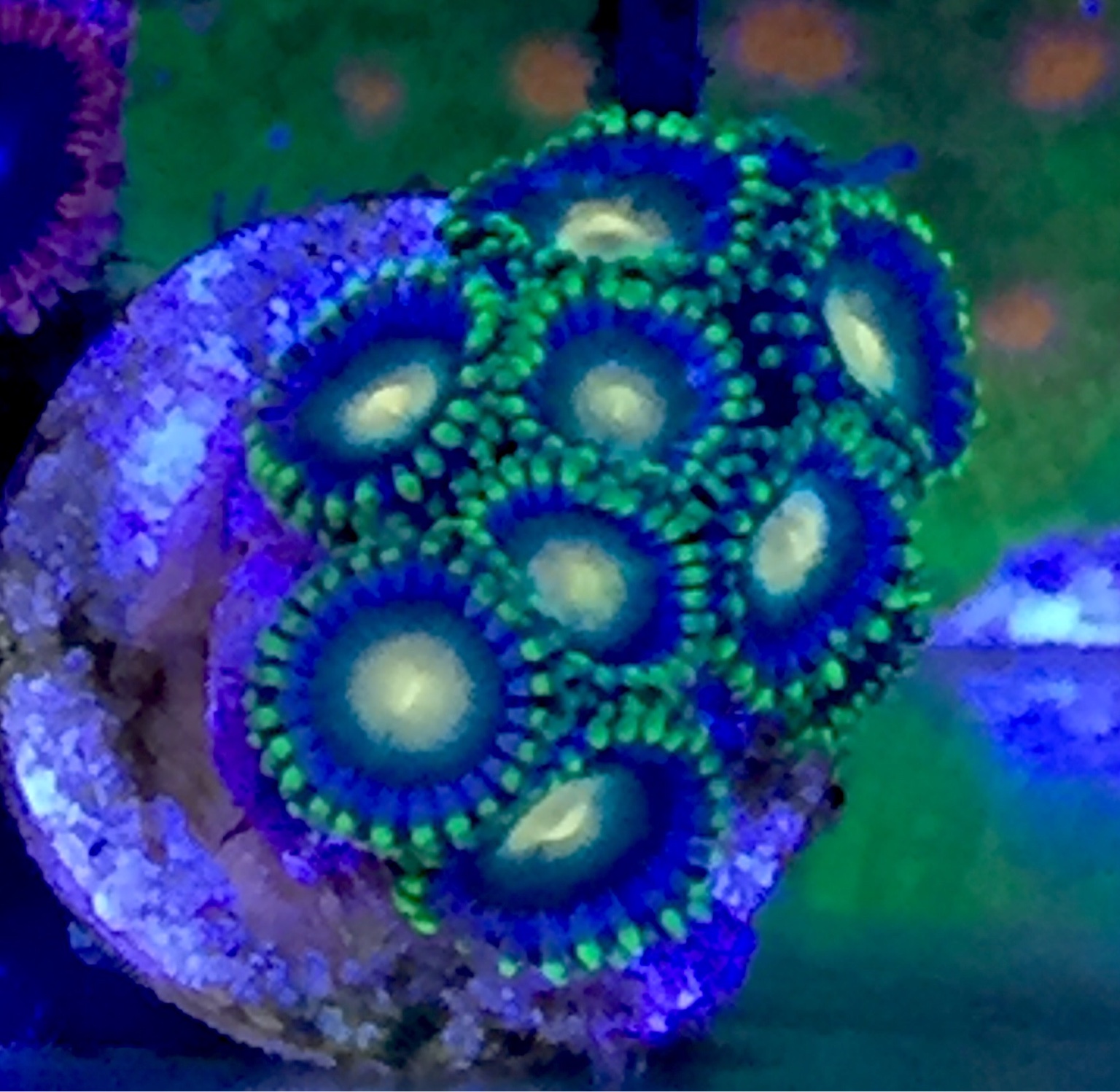 7b7e214e0919a523af2943a6c20c826a.jpg