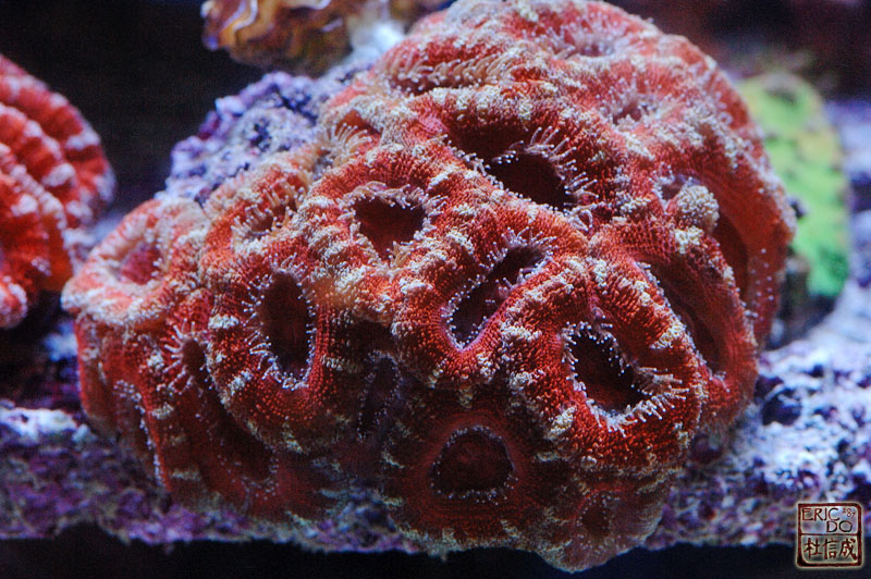 D2X_9482.jpg