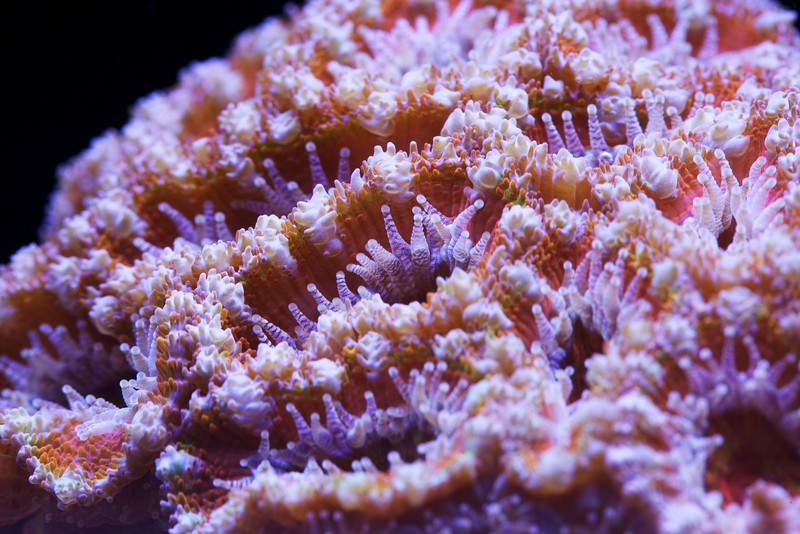 1214209452_R8TTo-L.jpg
