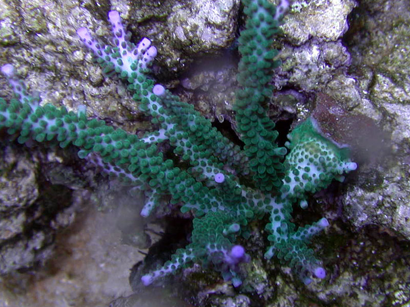 DSCN3528.jpg