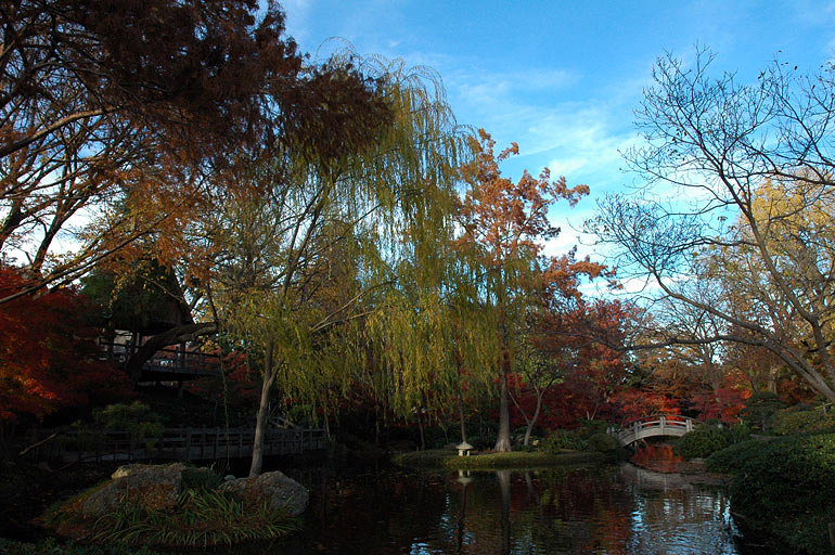 scenic_arch_bridge.jpg