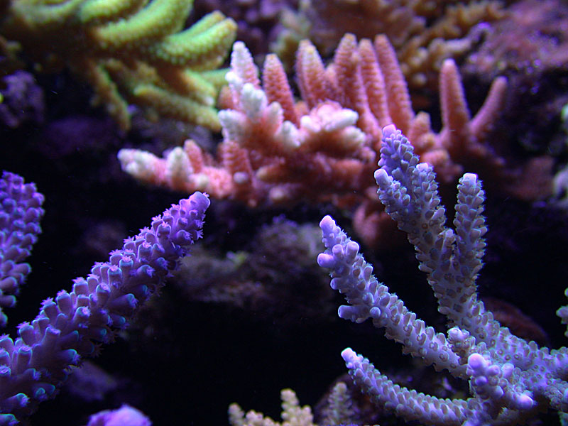 DSCN0918.jpg