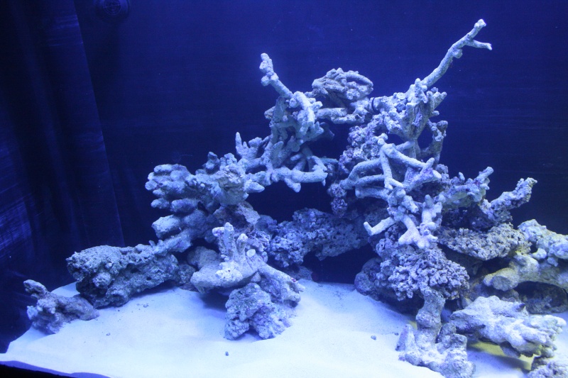 stack1.jpg