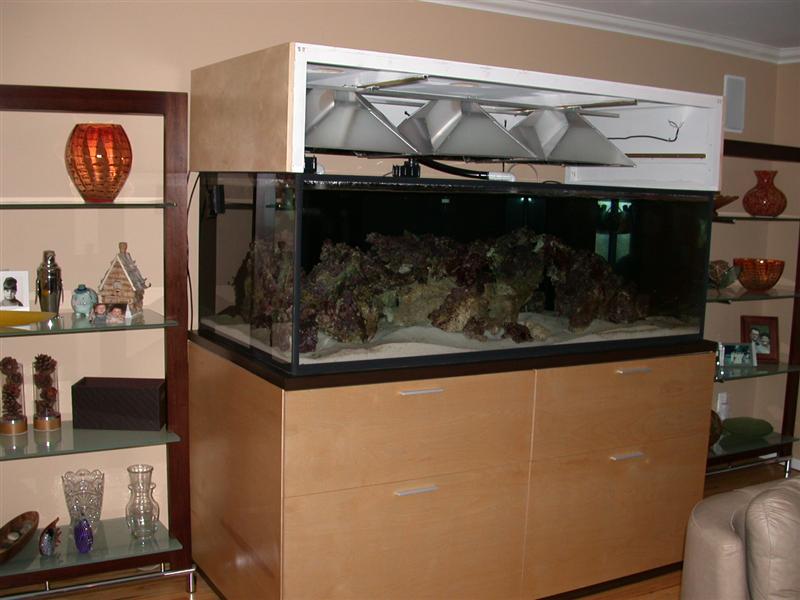 DSCN2372.JPG