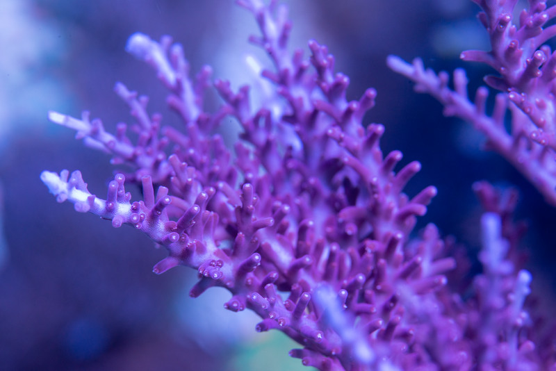 DSC_5644-L.jpg