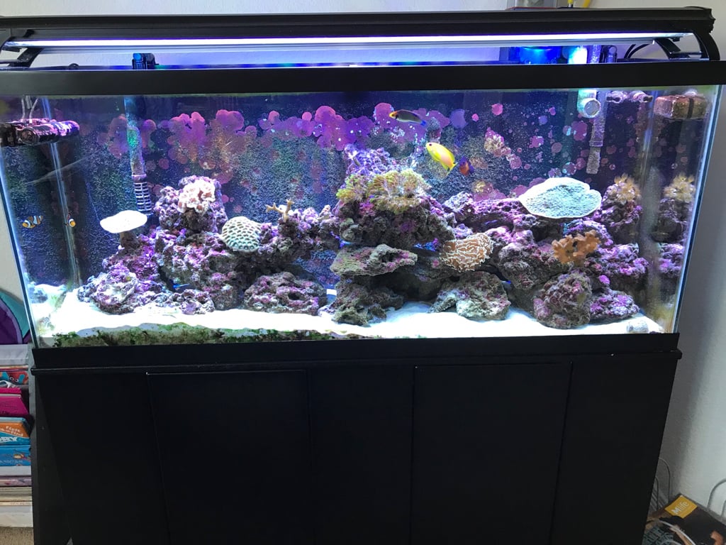 4e19e14cd4bd6ca973227f99ec884ca1.jpg