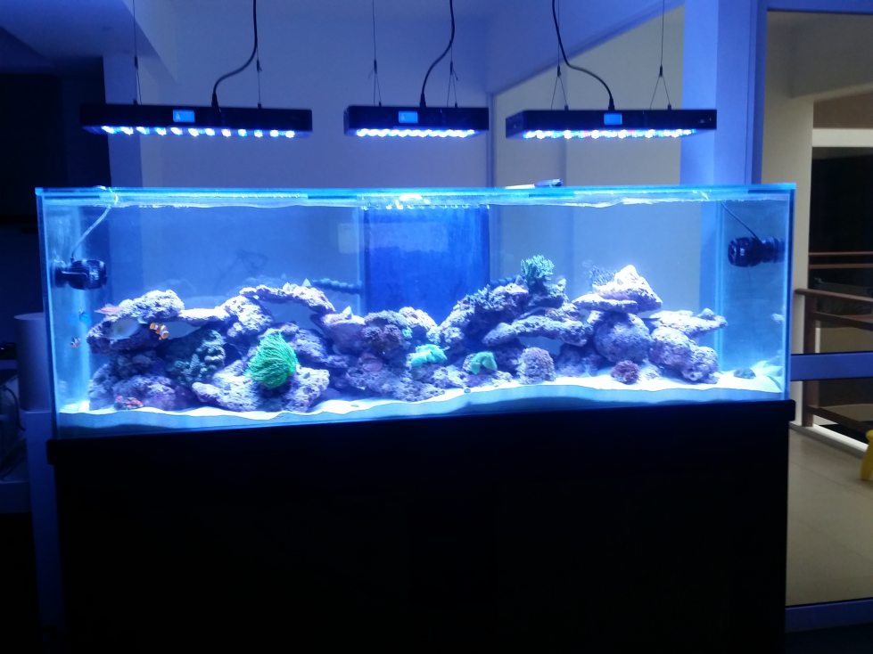 20150806_154246.jpg