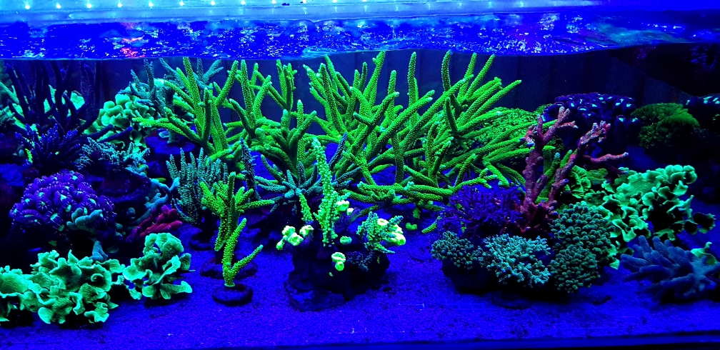 0b32b37b797a8bf63e8e2d9150cec47a.jpg