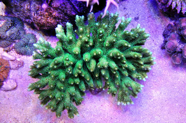 DSC_3312.JPG