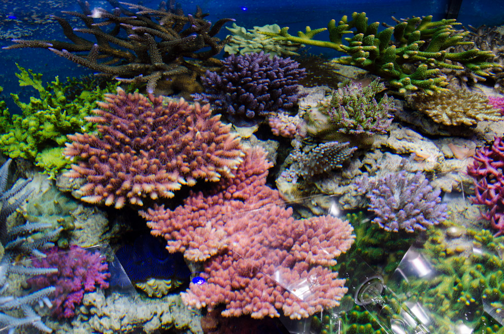 DSC_3726.jpg