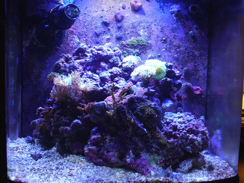 24G_Nano_29OCT2010.jpg