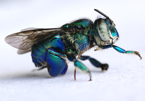 3566819975_a44dab20ae.jpg