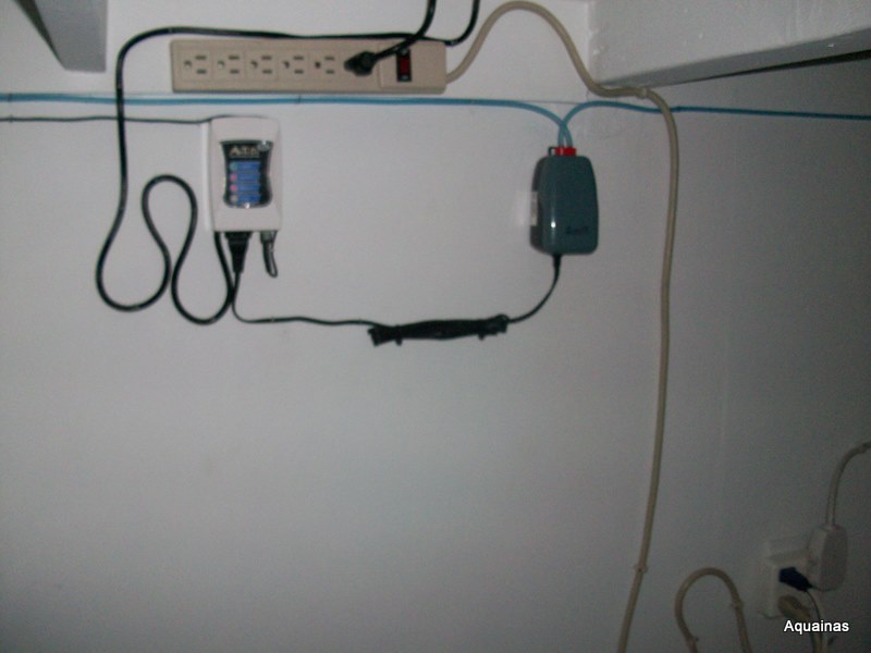 100_6543.jpg