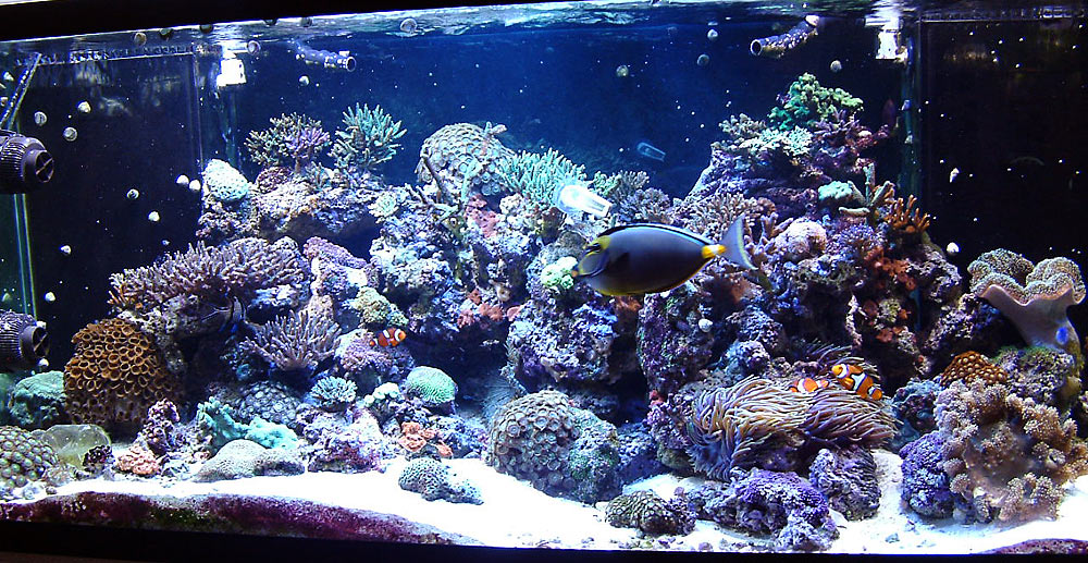 280g_0701.jpg