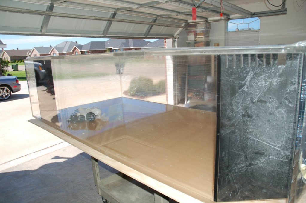 fishroom18.jpg