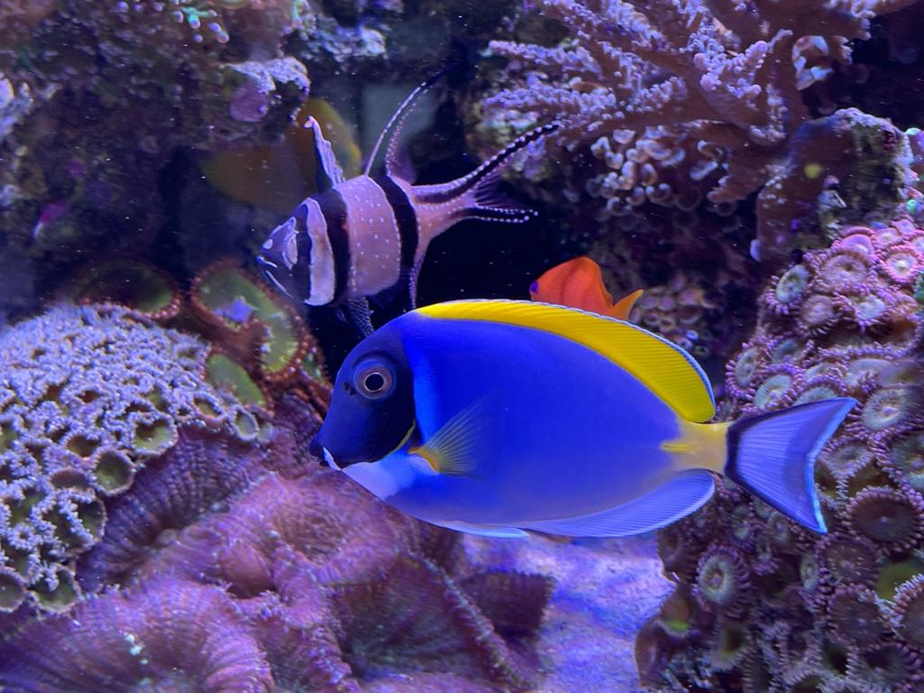 8b0c591cf739d49d1880b4abf91d0cec.jpg