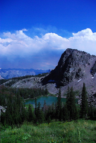 2743154066_cc2d9a16f2.jpg
