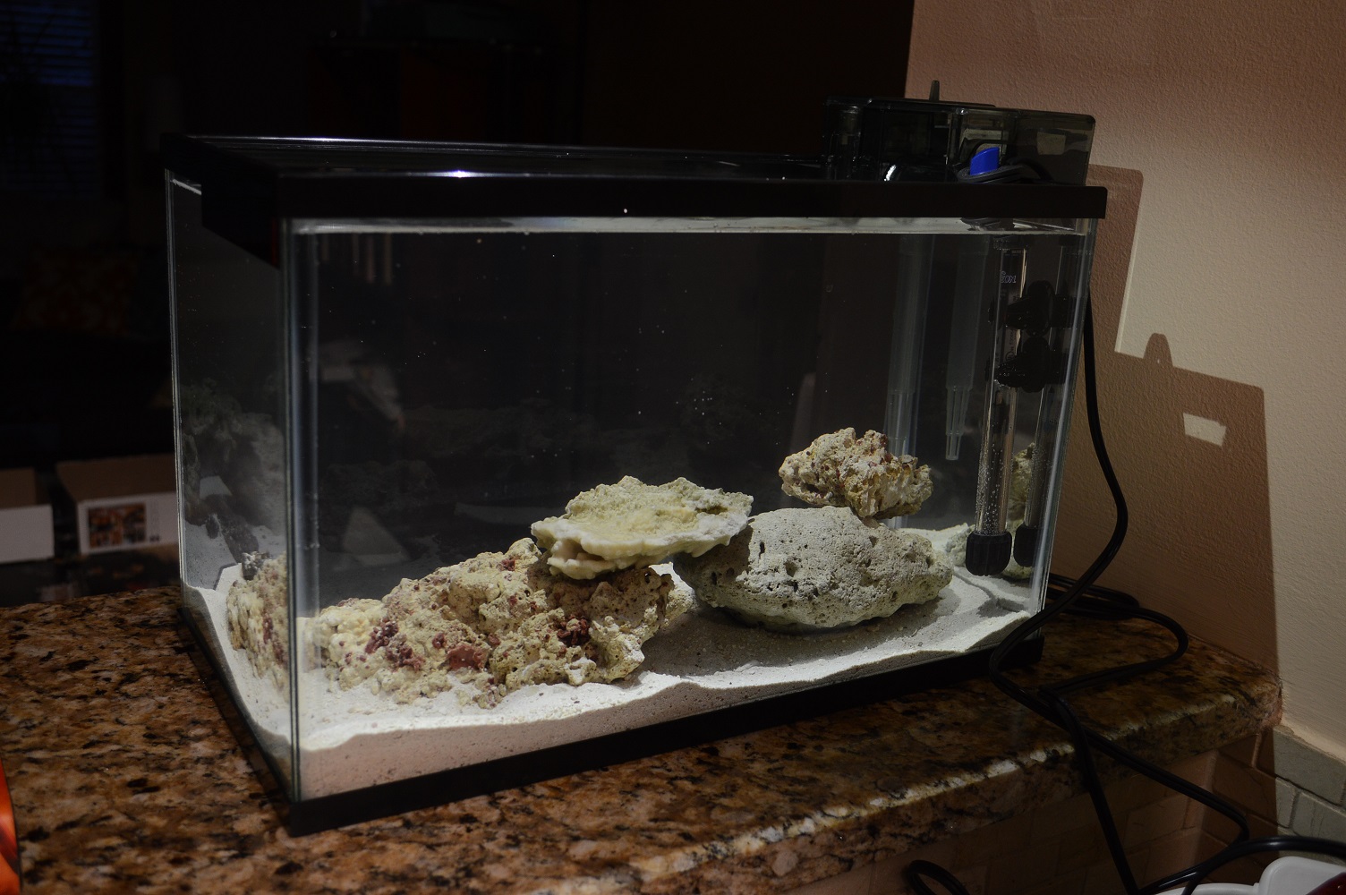 DSC_0286.JPG