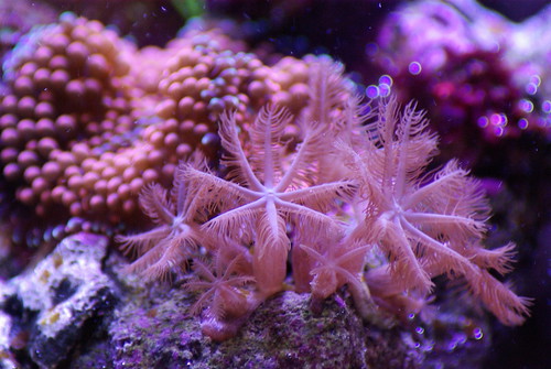 3197852919_379fd6c436.jpg