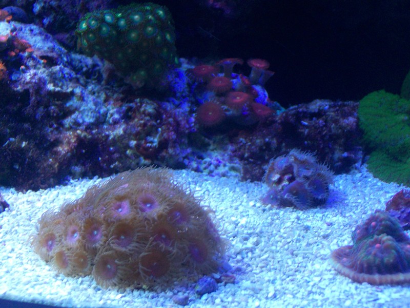 100_9631.jpg