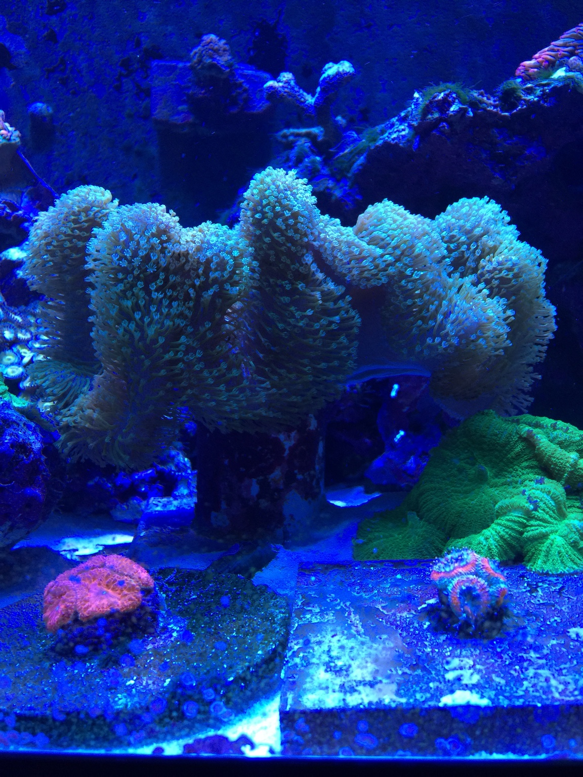 3d7ff0c4a96d4693e53560645d41fcc5.jpg