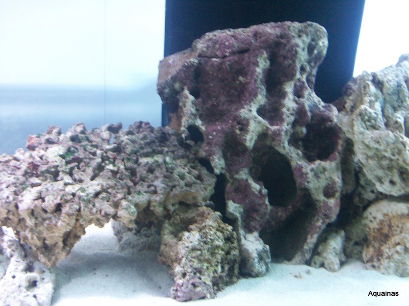 100_6809.jpg
