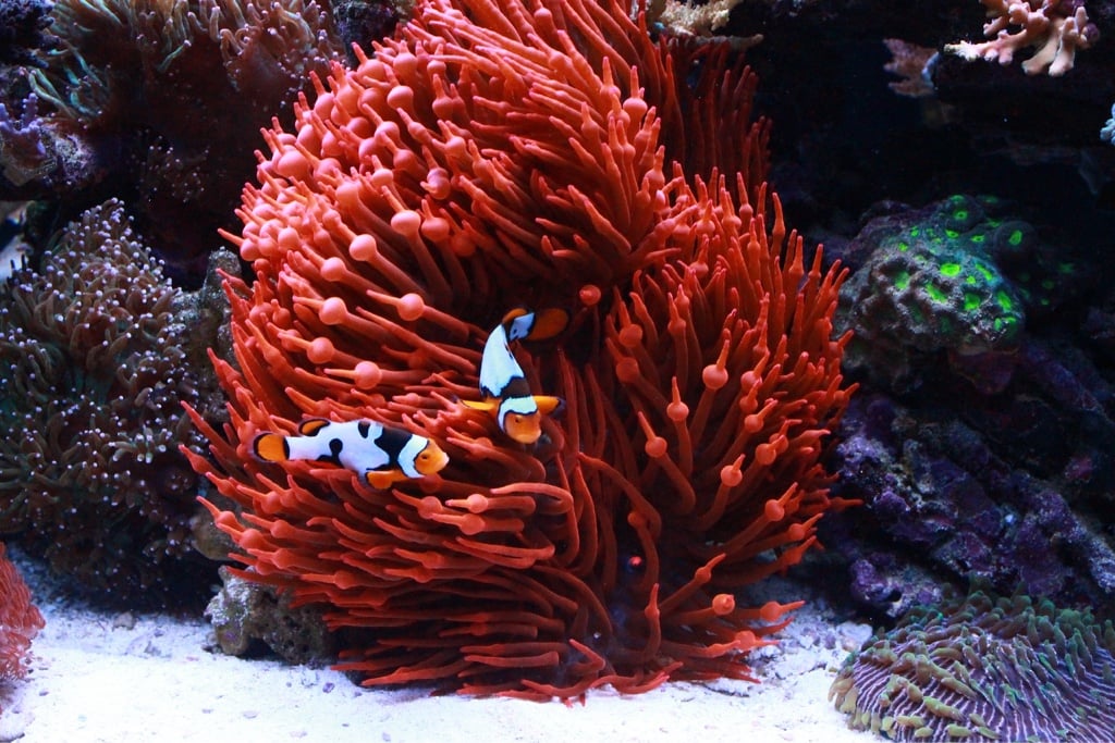2b2dd625f43cf0155a003aedbbfdca36.jpg