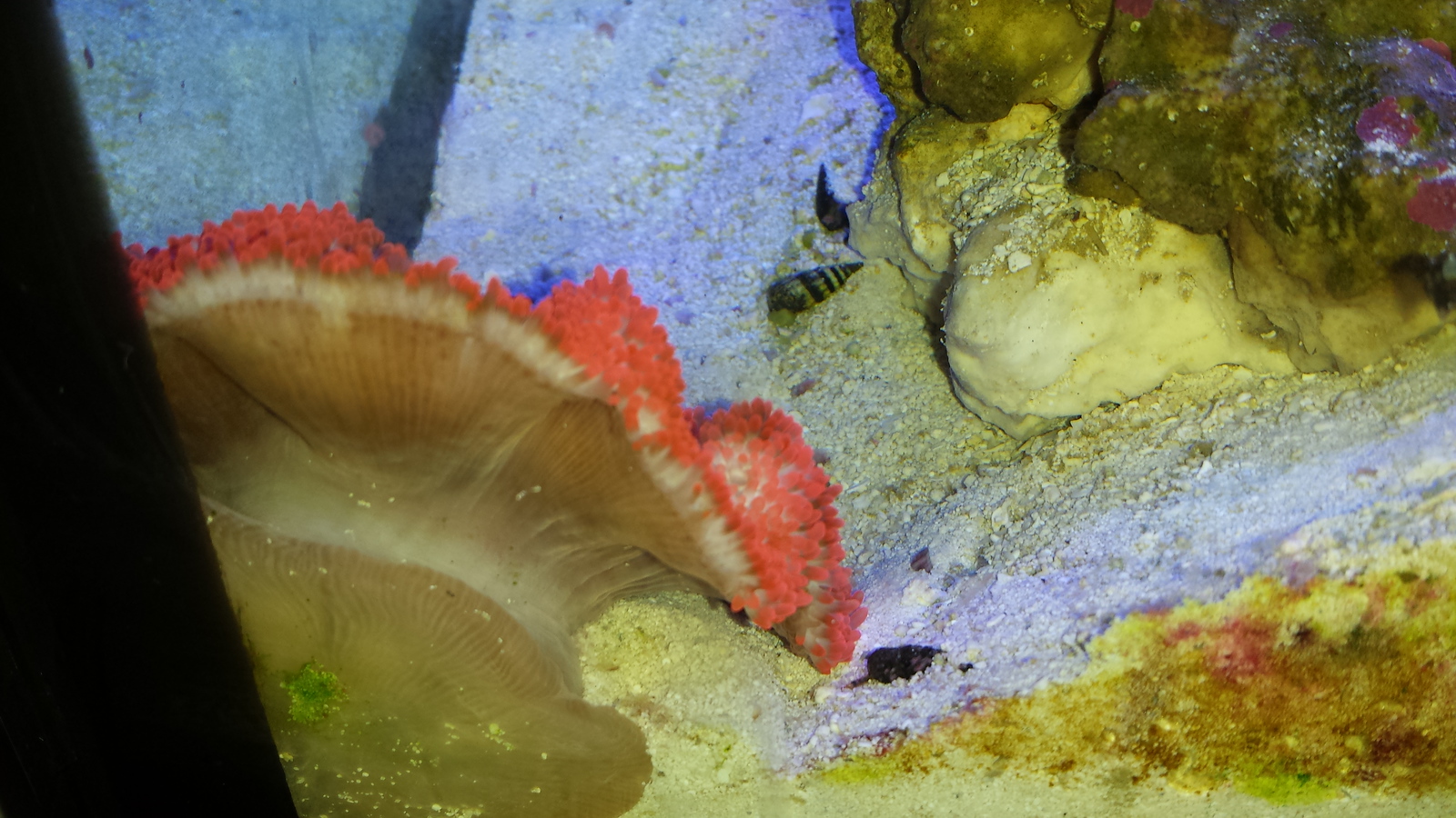 20131102_200501-X3.jpg