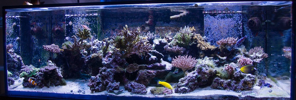FTS0911e8f5-07c2-5089.jpg