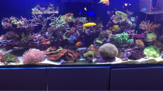 72f464be39f4ba45197c2763a90da66d.jpg