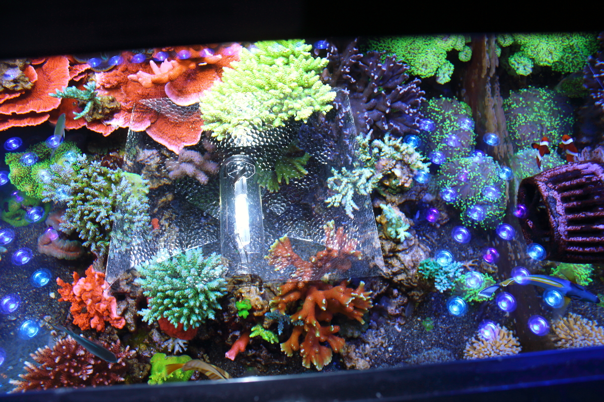 dec010.JPG