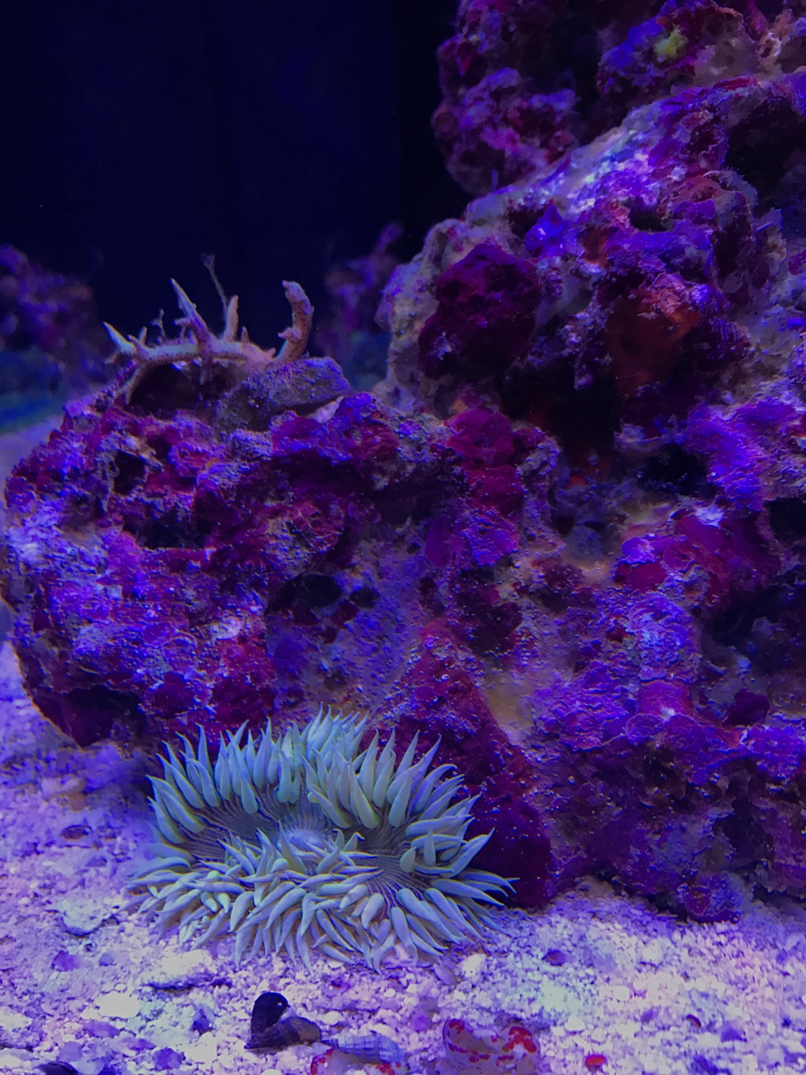 4b2664f8e8389fd22e91f6bf514854c5.jpg