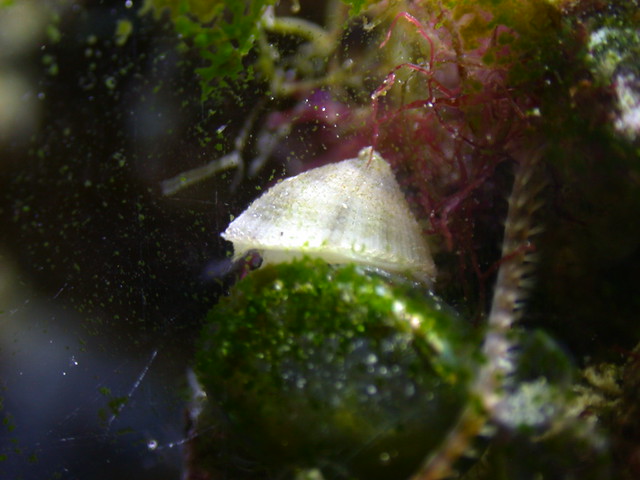 3594450804_49d80e1526_z.jpg
