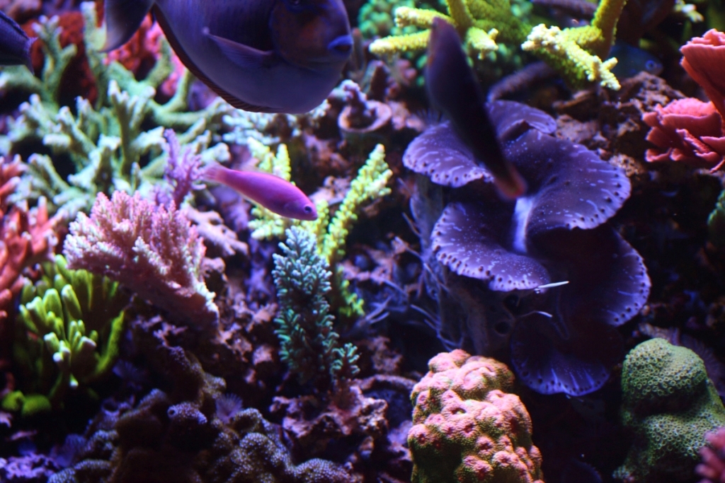 Nov2013M0023.JPG