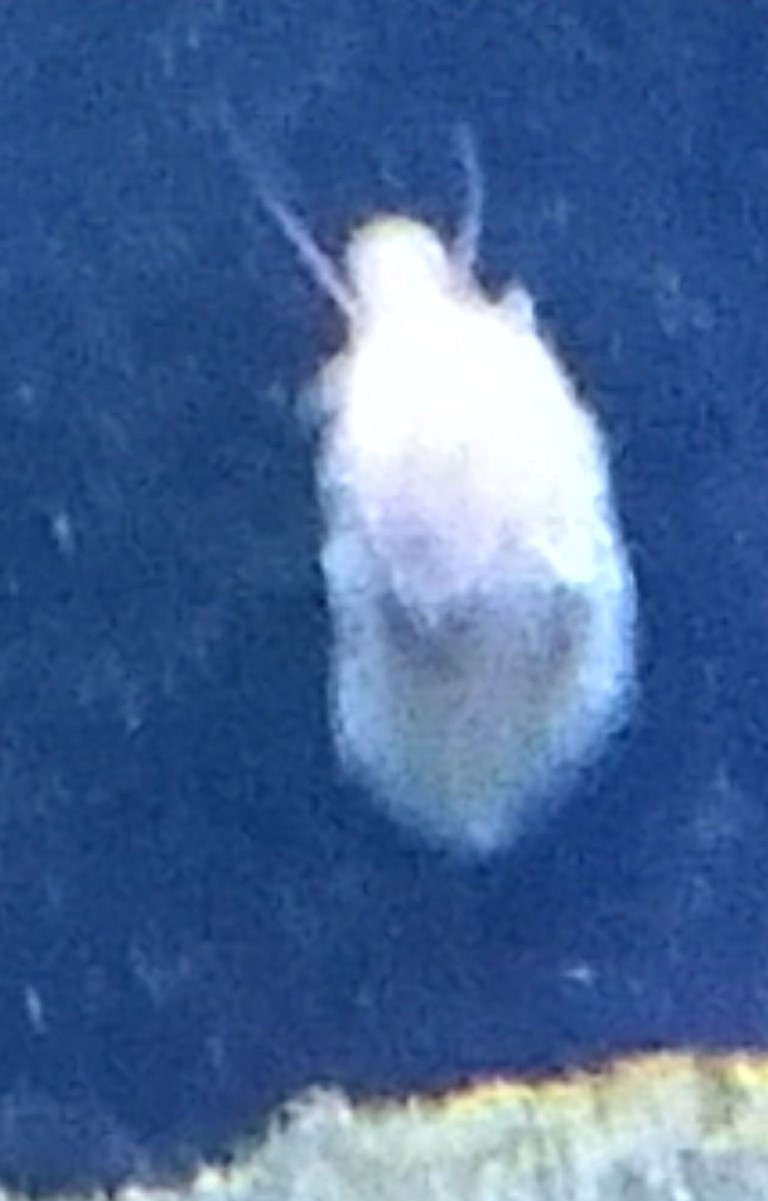 20170209_193505!.jpg