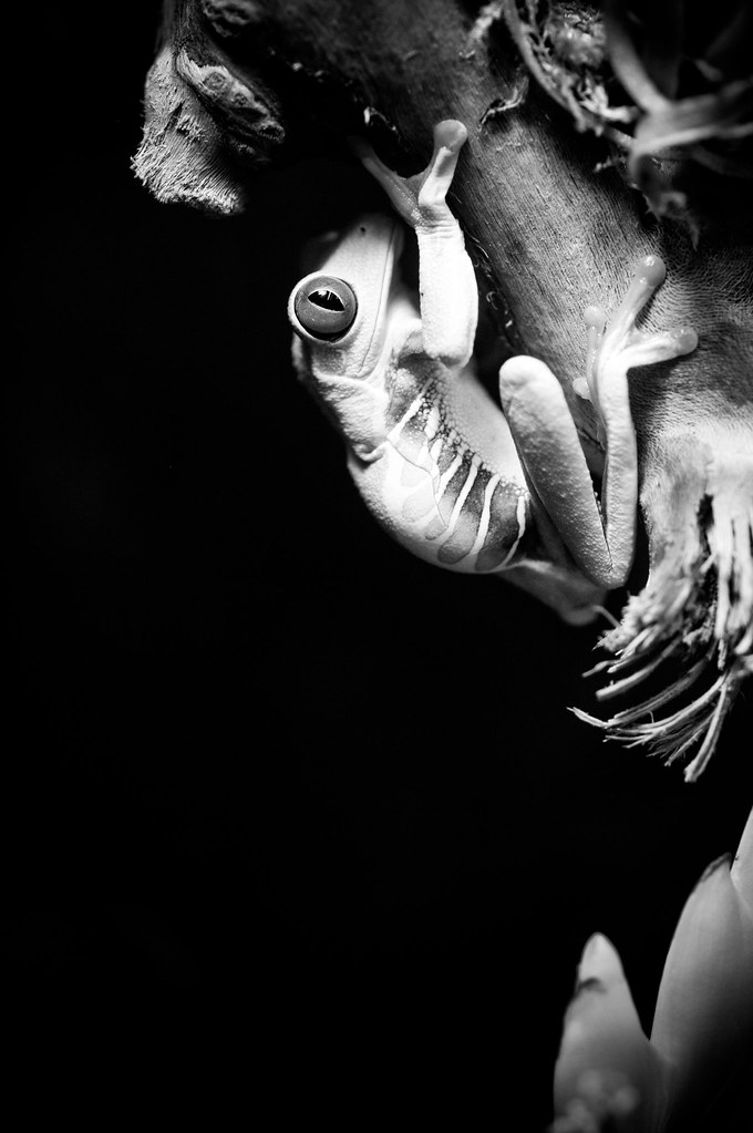 4276726847_3f028e01c3_b.jpg