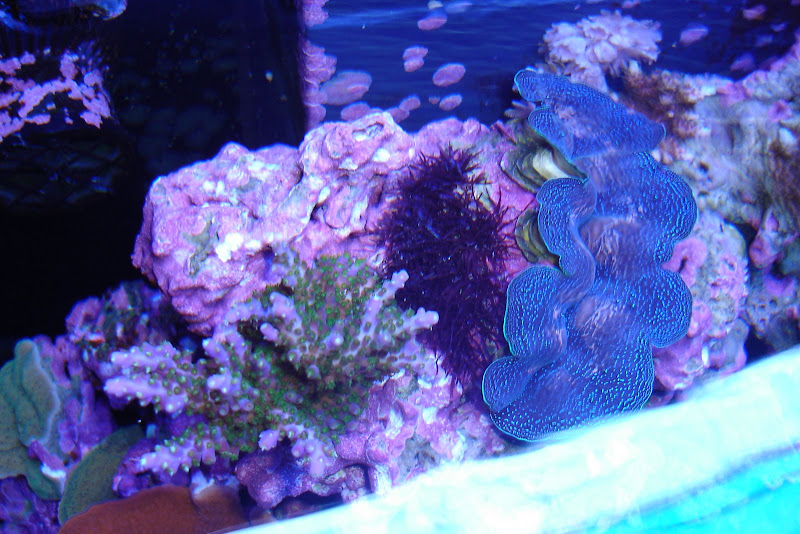 DSC00708.JPG