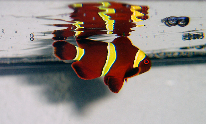 P1010029.JPG